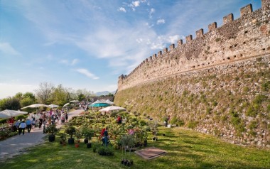 fiori-nella-rocca-lonato